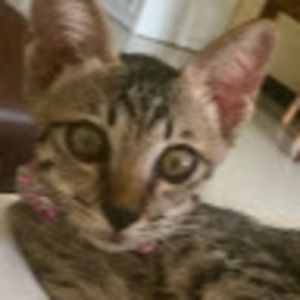 Meet your Posher, Timothy